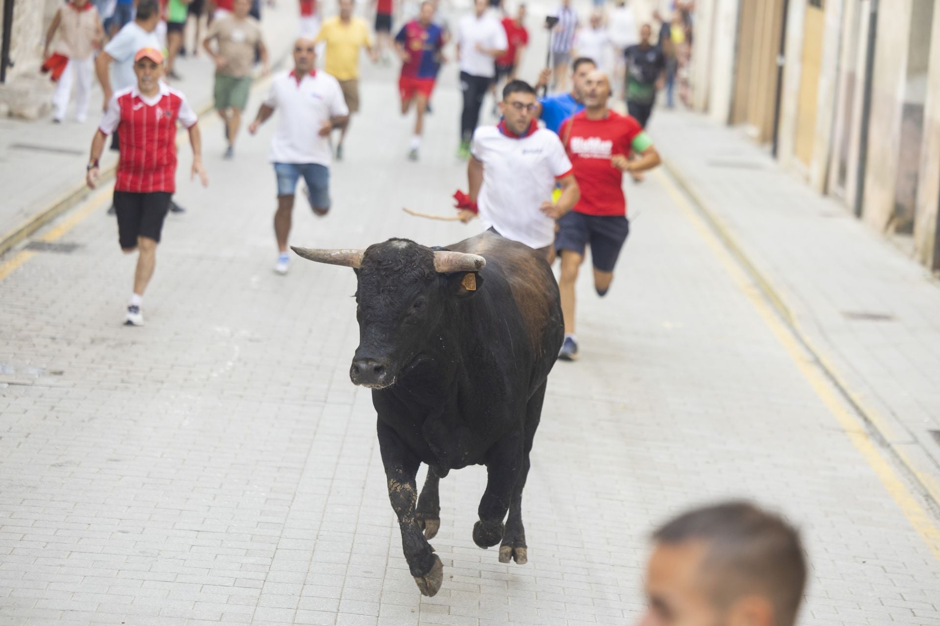 El último encierro de Peñafiel, en imágenes