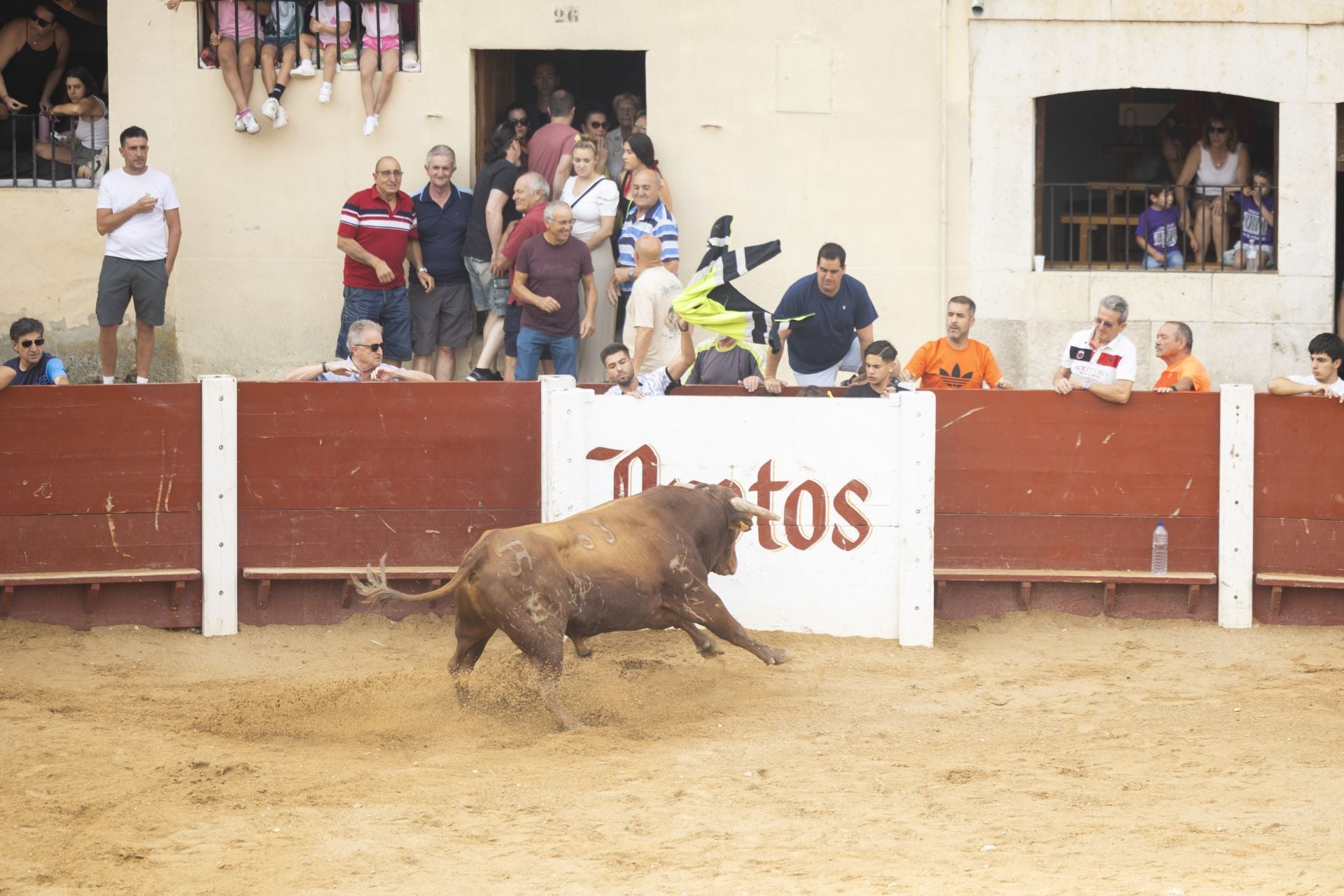 El último encierro de Peñafiel, en imágenes