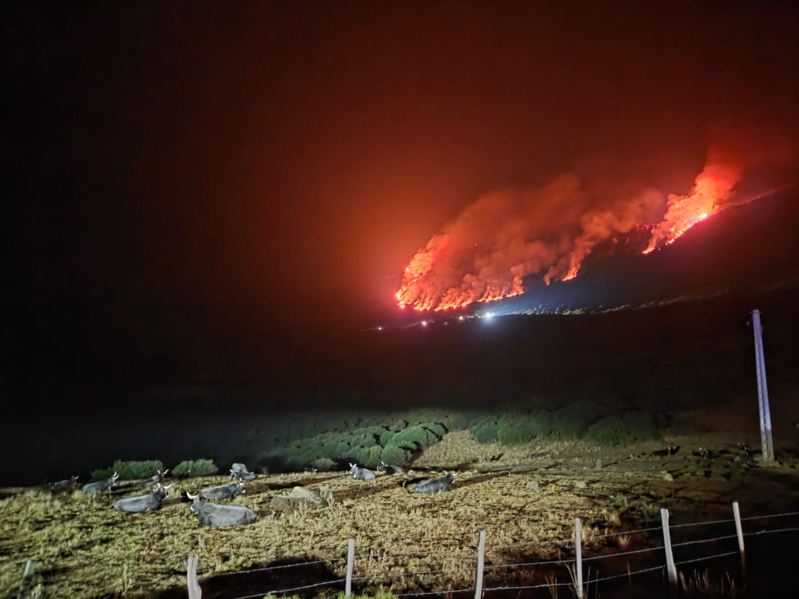 Así se ve la zona del Golobar tras el incendio por un rayo