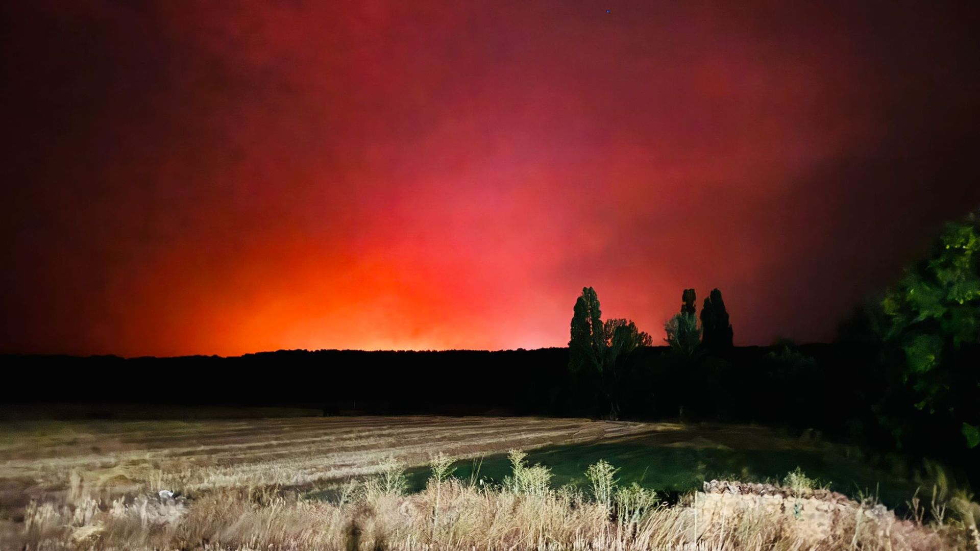 El fuego llega al pinar de Mantinos y Guardo trabaja para protegerse