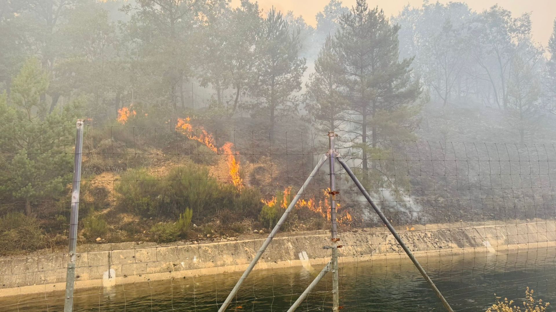 El fuego llega al pinar de Mantinos y Guardo trabaja para protegerse