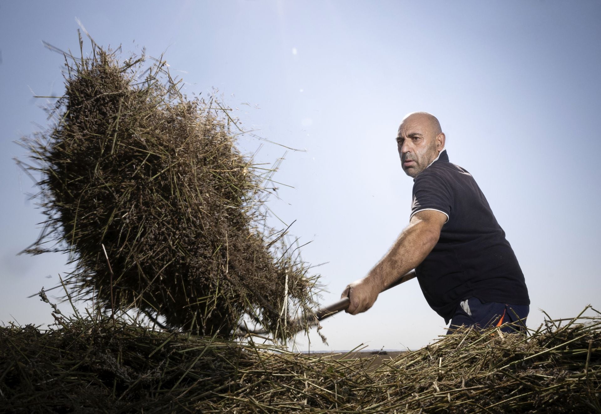 Un agricultor, trabajando en el campo en una foto de archivo.