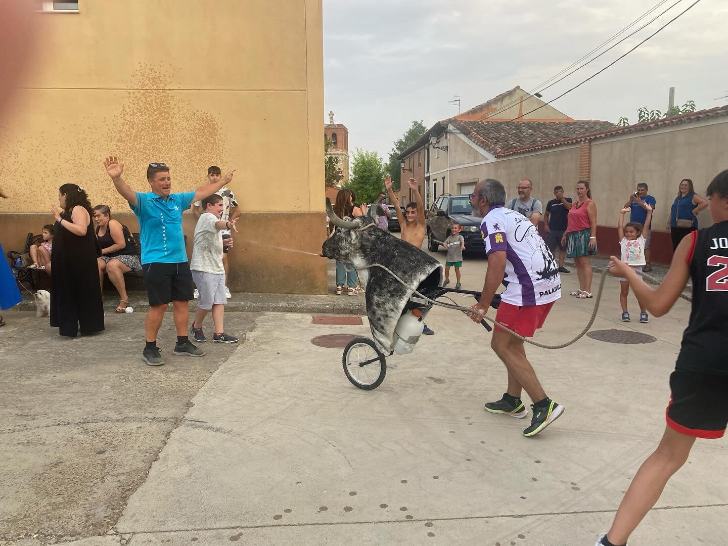 Un juego llamado vaca enmaromada