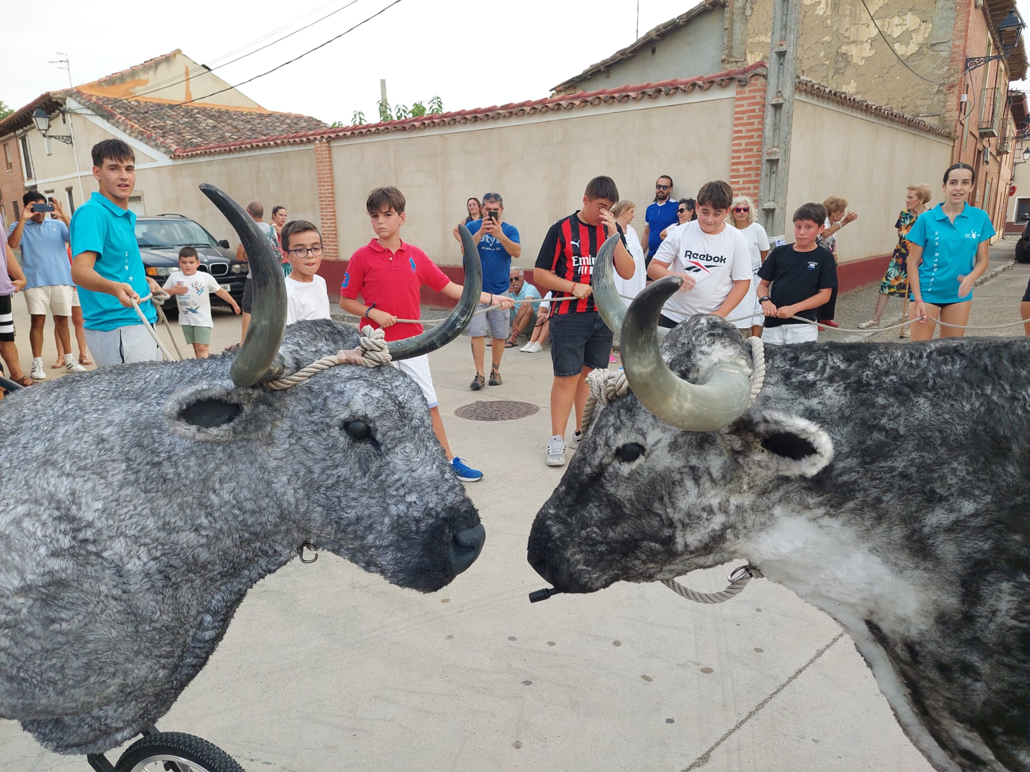 Un juego llamado vaca enmaromada