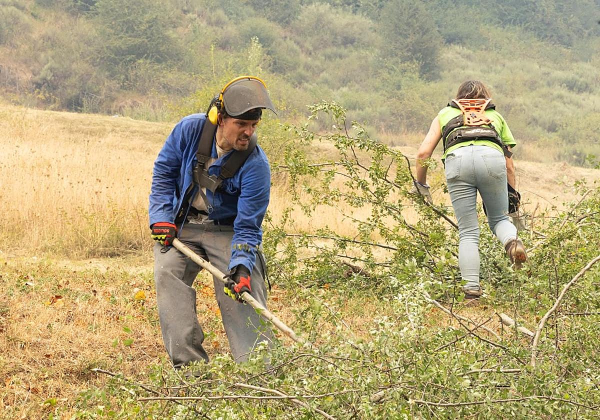 Vecinos de Santa María de Valdeón desbrozan la zona para protegerse de los incendios.