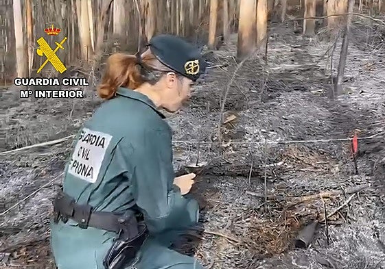 Imagen de archivo de una investigación del Seprona.