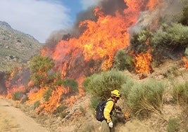 Las llamas en el frente de Jarilla, en la cuerda que divide el Valle del Jerte y el Ambroz, por encima de la localidad de El Tornadizo.