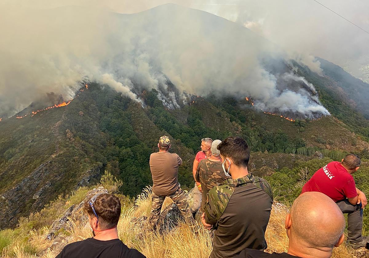 Incendio en el municipio de Oencia (León).