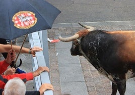Un momento del encierro.