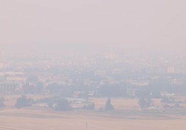 El humo y los girasoles