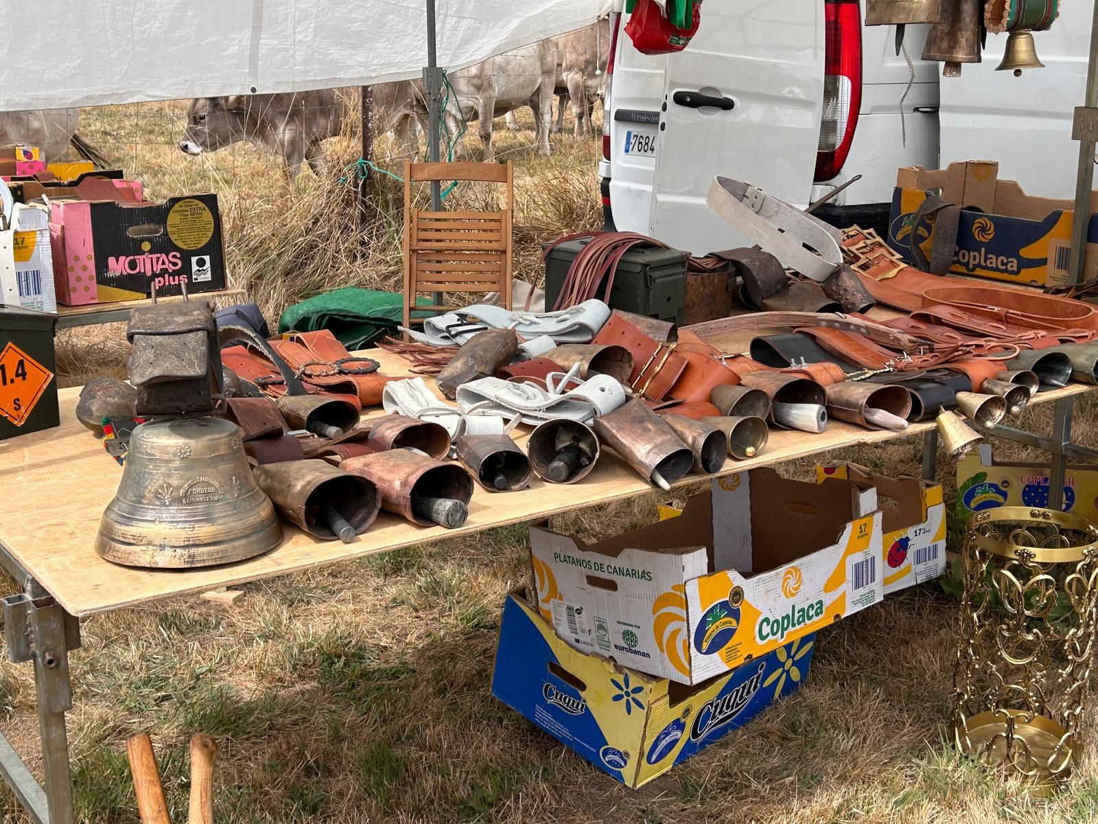 Animada feria de ganado vacuno en La Pernía