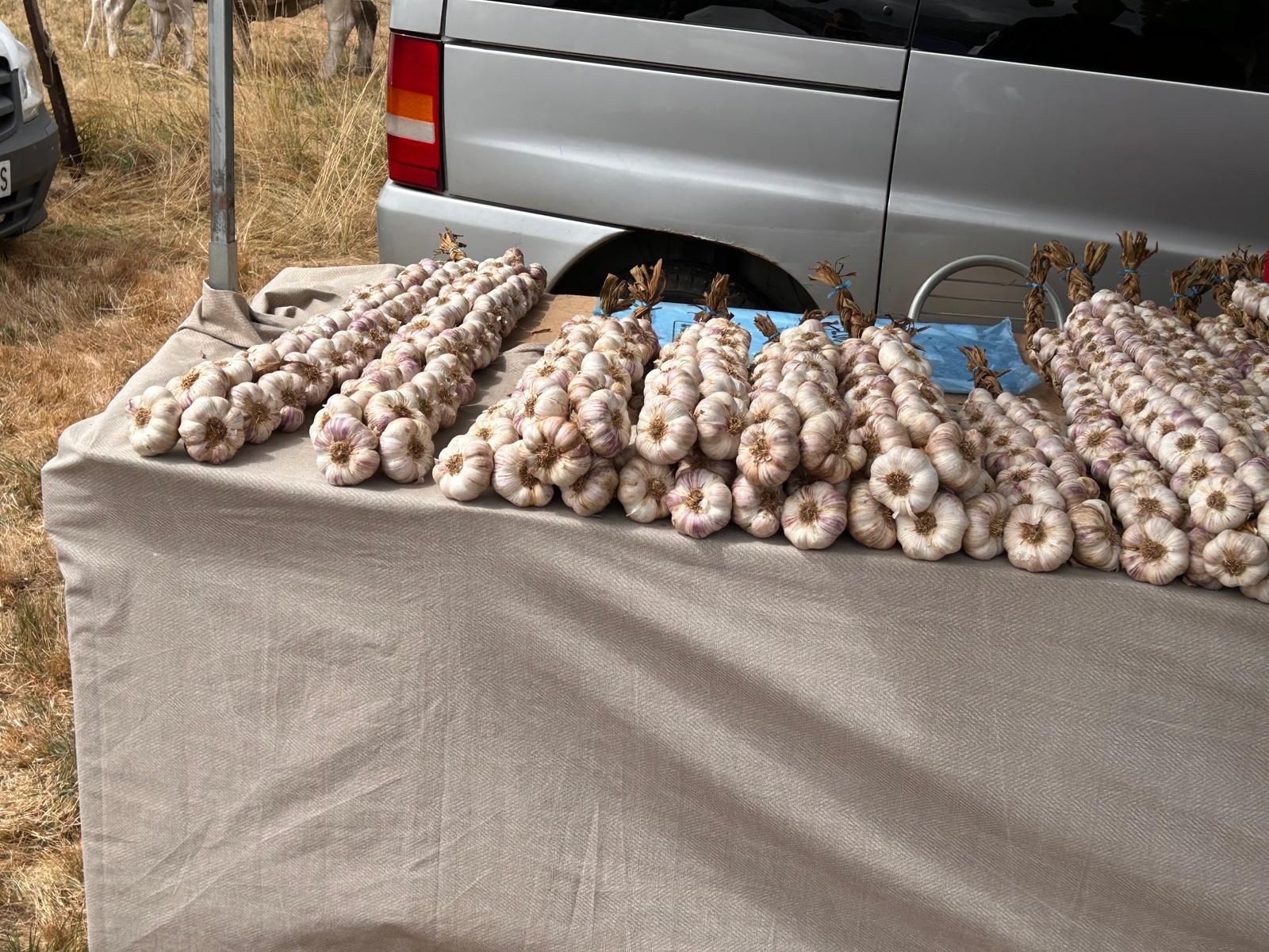 Animada feria de ganado vacuno en La Pernía