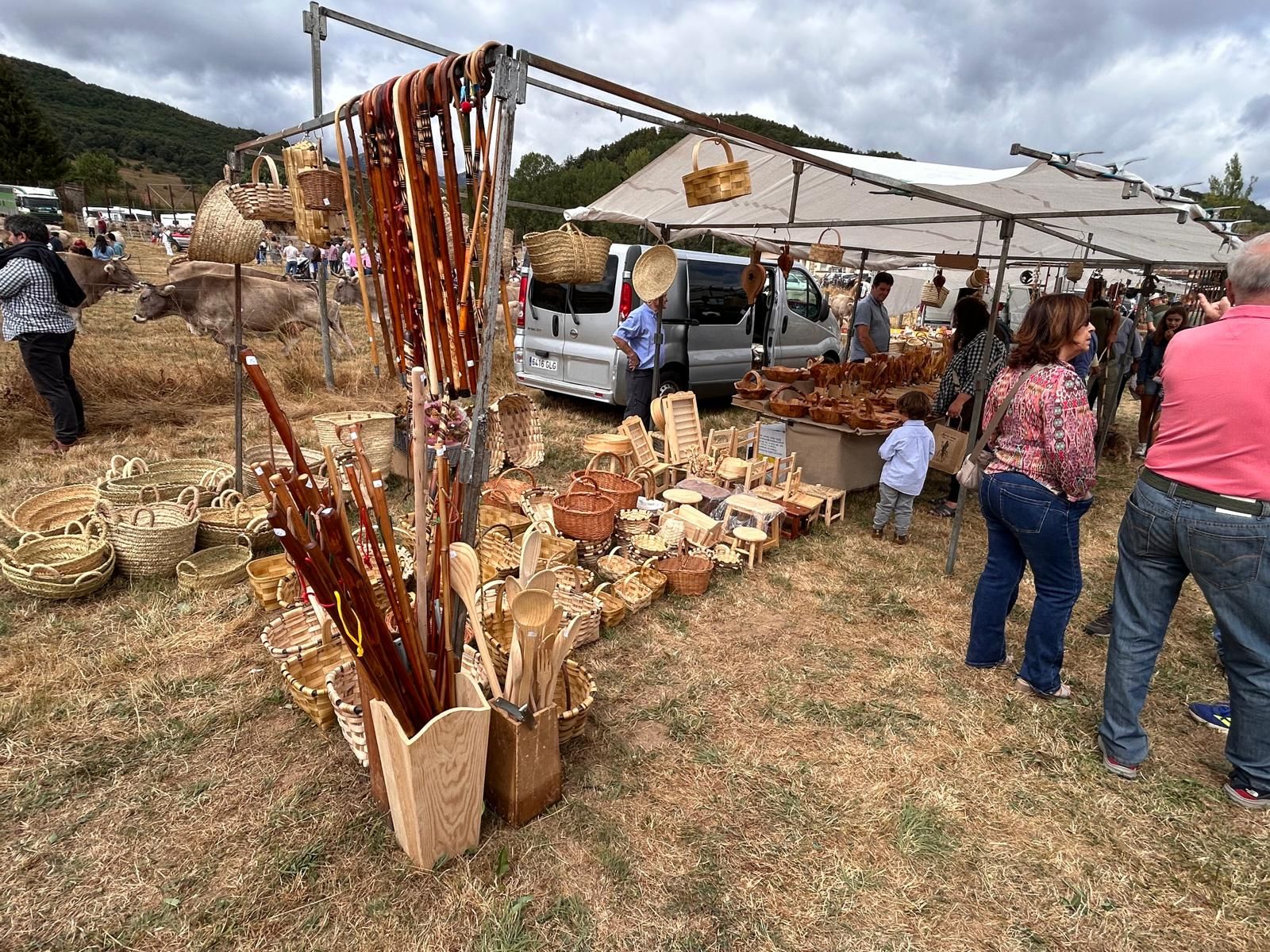 Animada feria de ganado vacuno en La Pernía