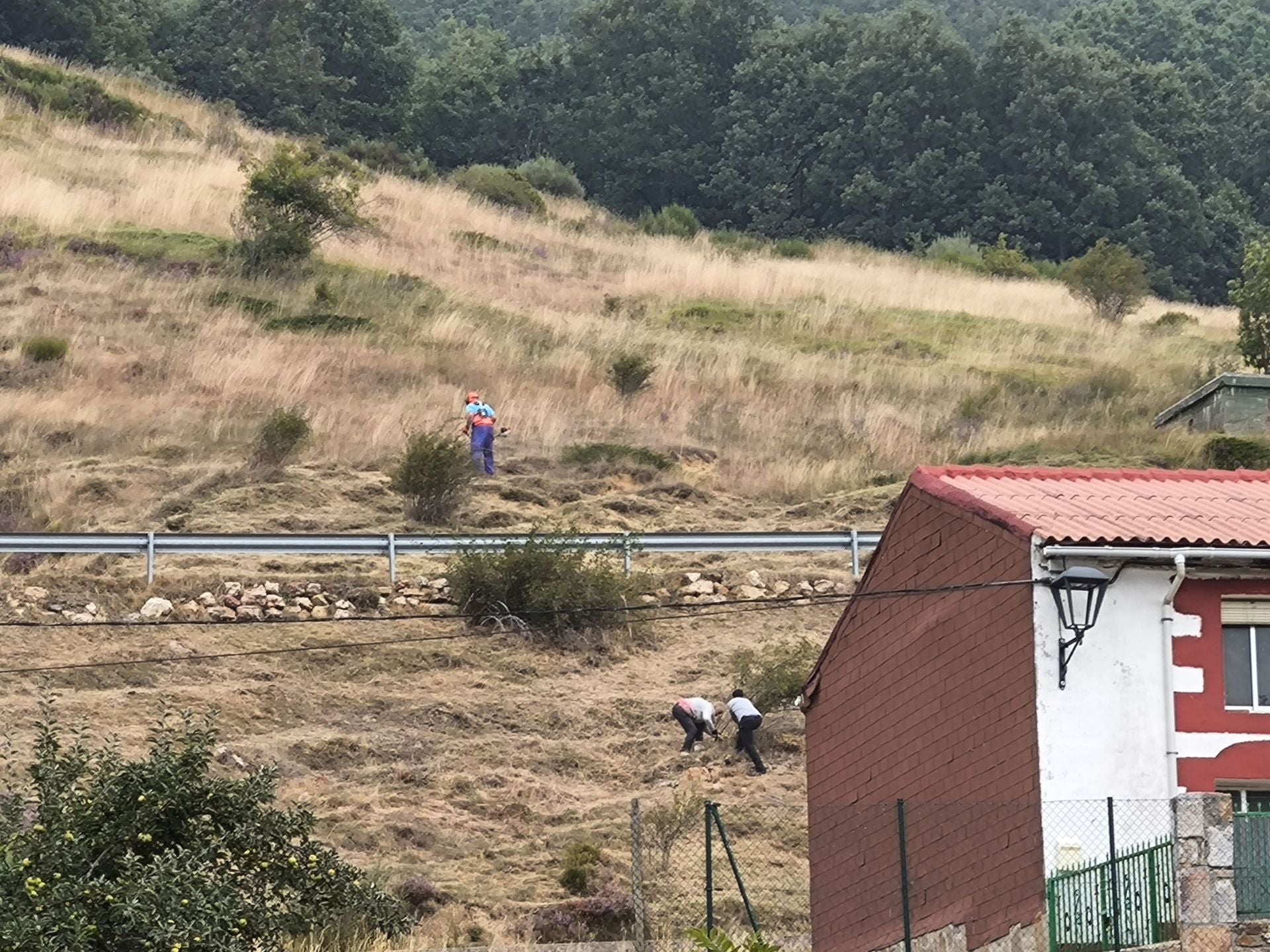La Montaña Palentina sigue trabajando contra el fuego