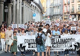 Fotografía de la multitudinaria manifestación de Valladolid