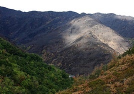 Efectos del incendio que ha afectado al municipio de Oencia (León).