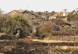 Las imágenes del mayor incendio en la provincia de Salamanca