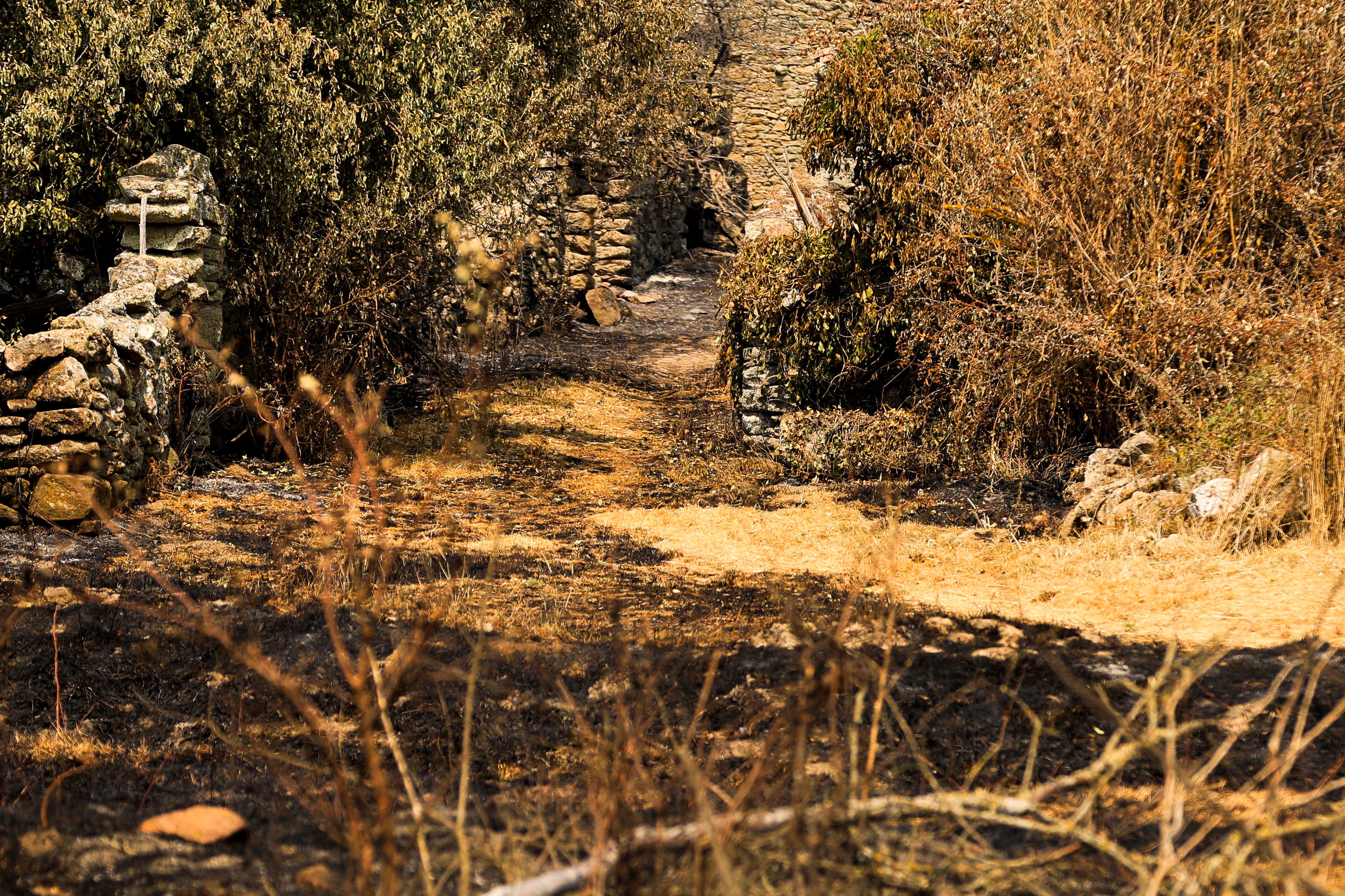 Las imágenes del mayor incendio en la provincia de Salamanca