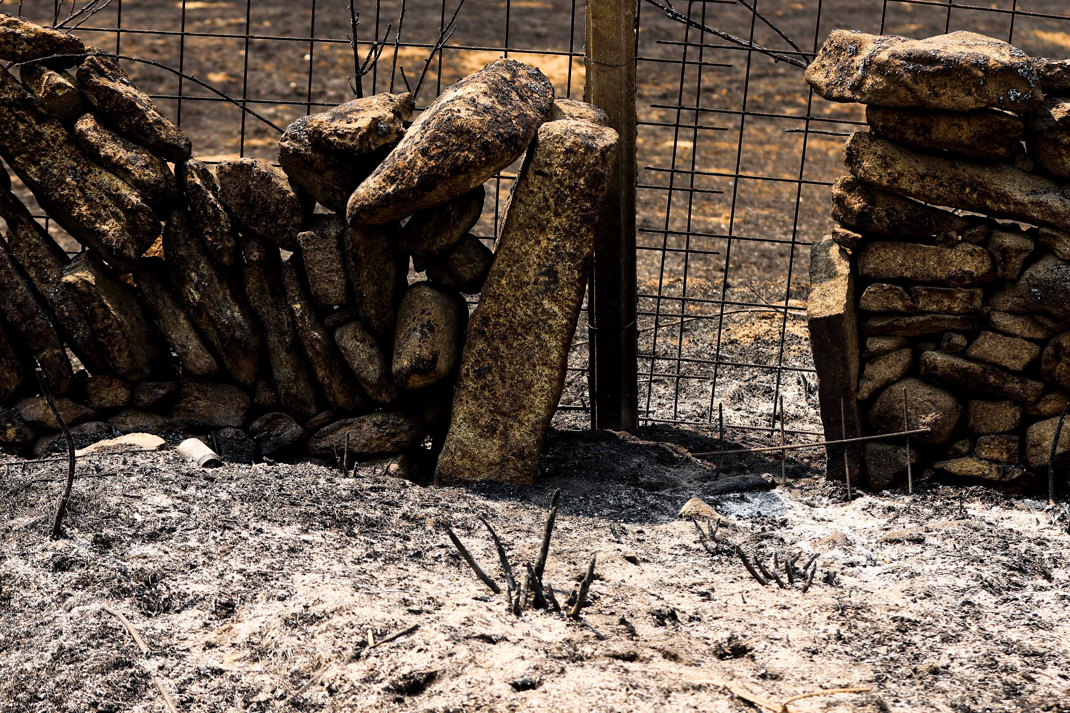 Las imágenes del mayor incendio en la provincia de Salamanca