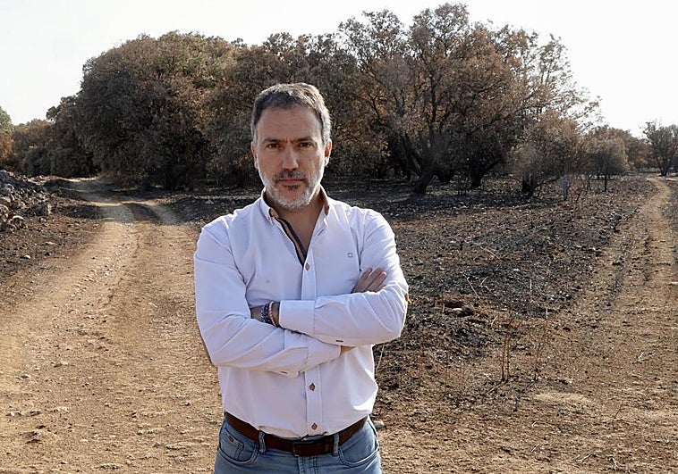 Asier Saiz, decano del Colegio de Ingenieros de Montes de Castilla y León, durante una entrevista en Monte Viejo, Palencia.