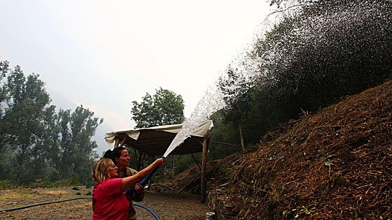 Cómo solicitar las ayudas de la Junta por los incendios: formularios e instrucciones