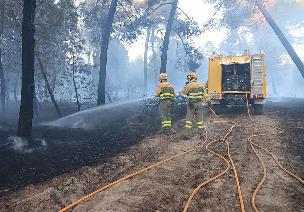 Bomberos forestales participan en la extinción de un incendio en Coca el pasado julio.