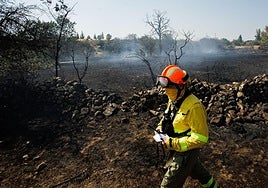 Un incendio intencionado pegado a las casas en Morasverdes tensa a vecinos y bomberos