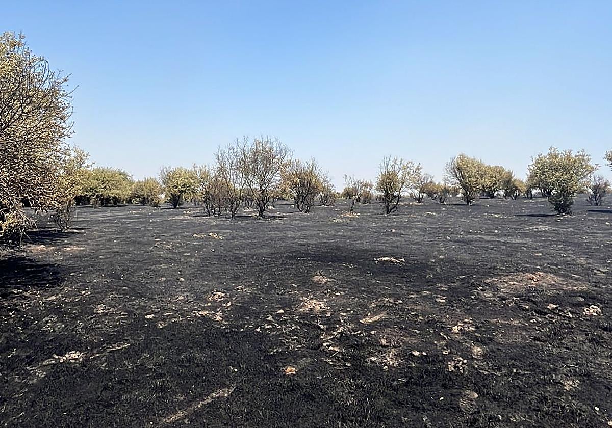 Trabajadores del campo combaten las llamas en la comarca de Vitigudino