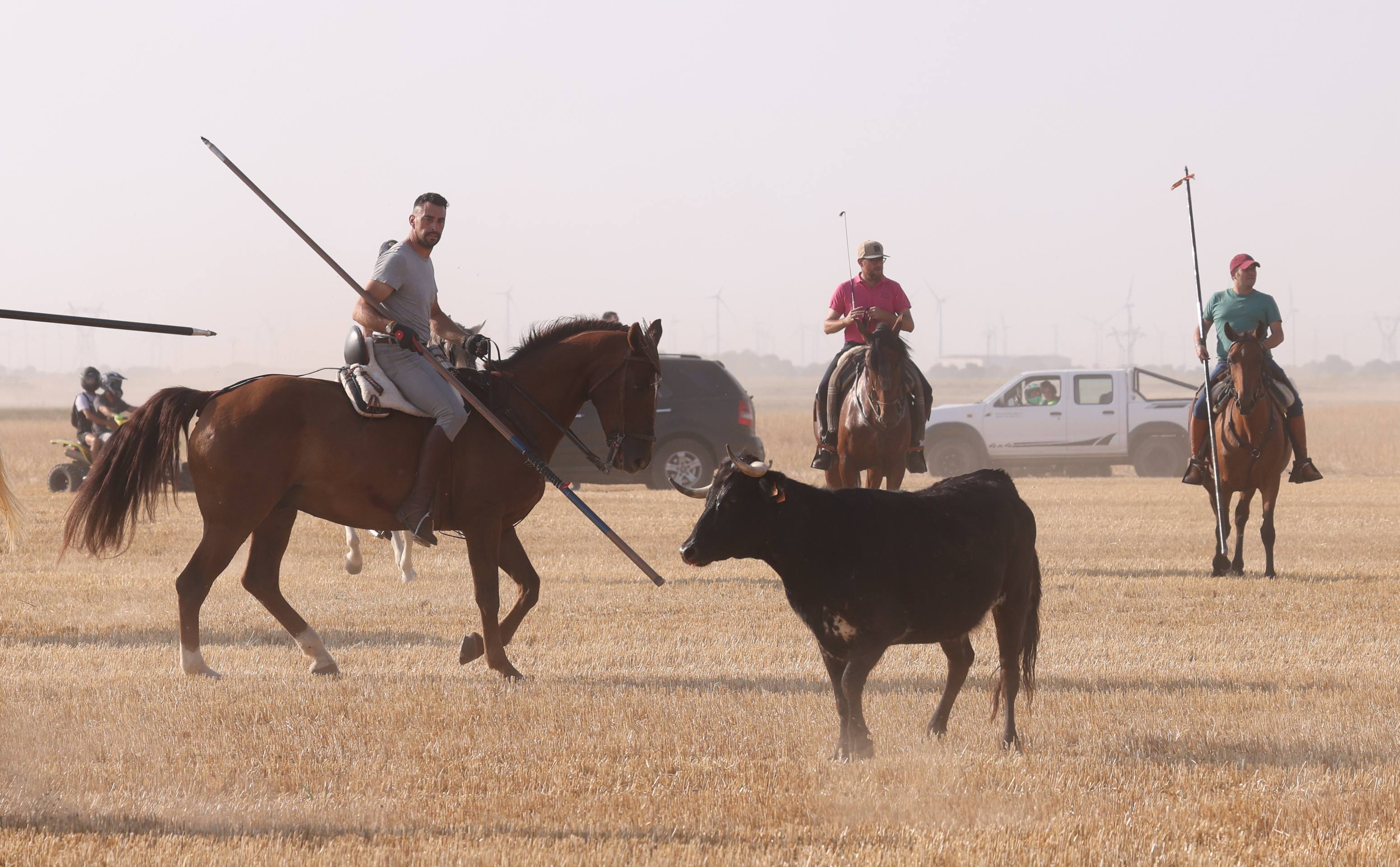 Las imágenes del encierro campero de Ciguñuela