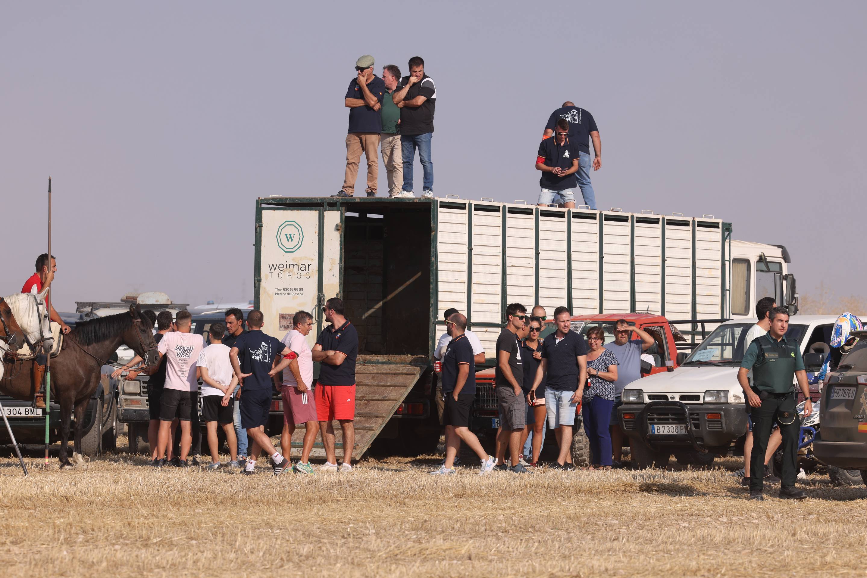 Las imágenes del encierro campero de Ciguñuela