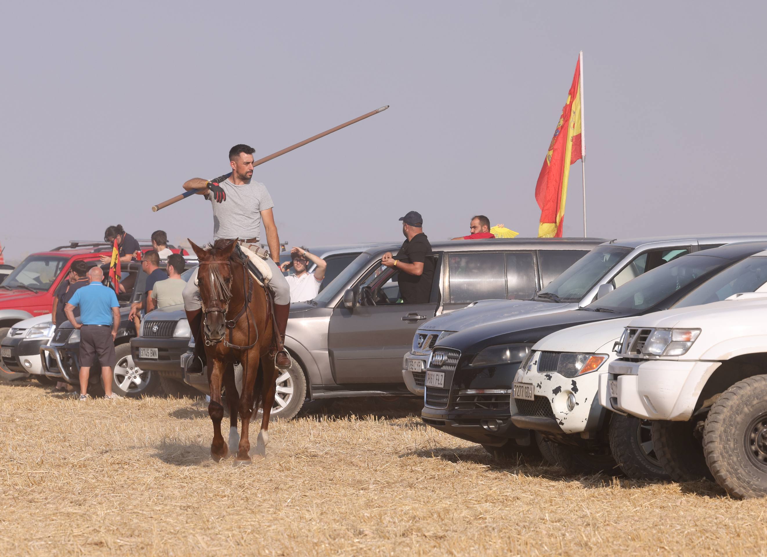 Las imágenes del encierro campero de Ciguñuela