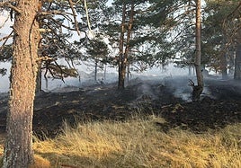 Vista general de la superficie quemada en el entorno de la pradera de Navalazor.