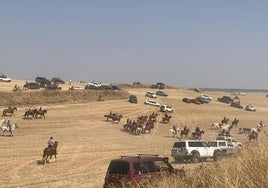 Encierro de Torrelobaton