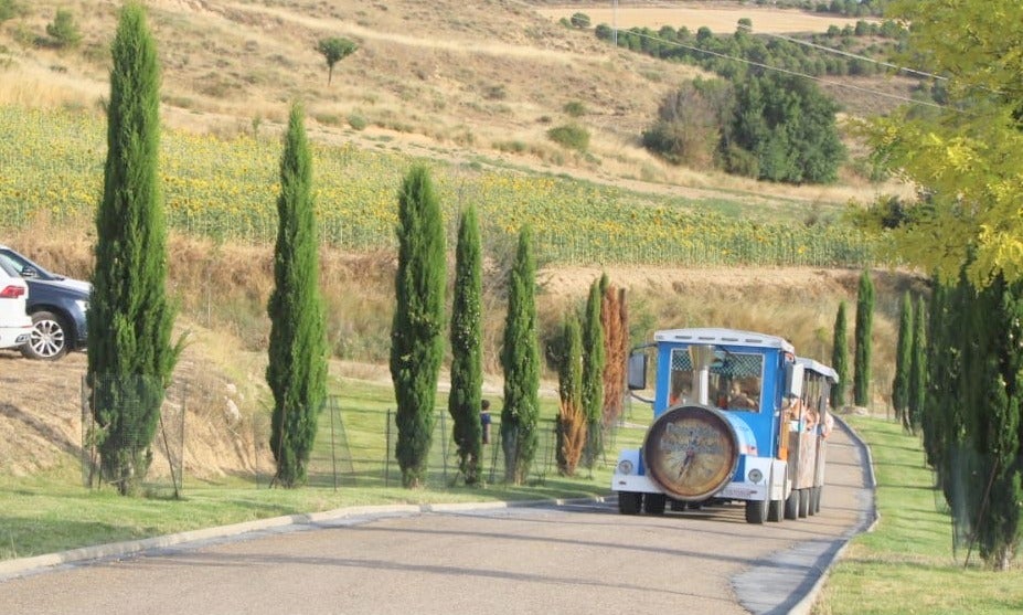 Fiestas Patronales en Herrera de Valdecañas