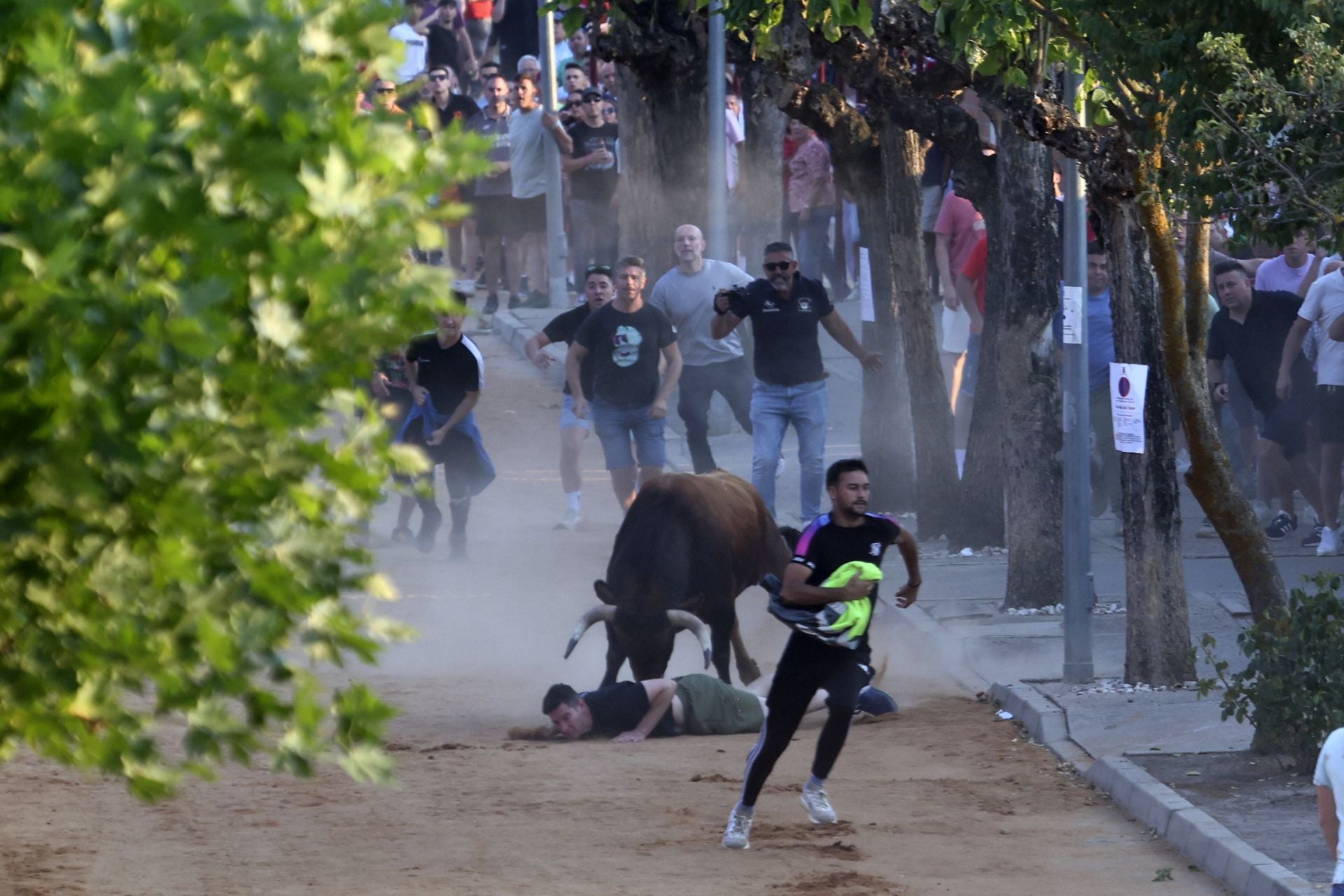 Herido en el encierro del toro de cajón en Serrada.