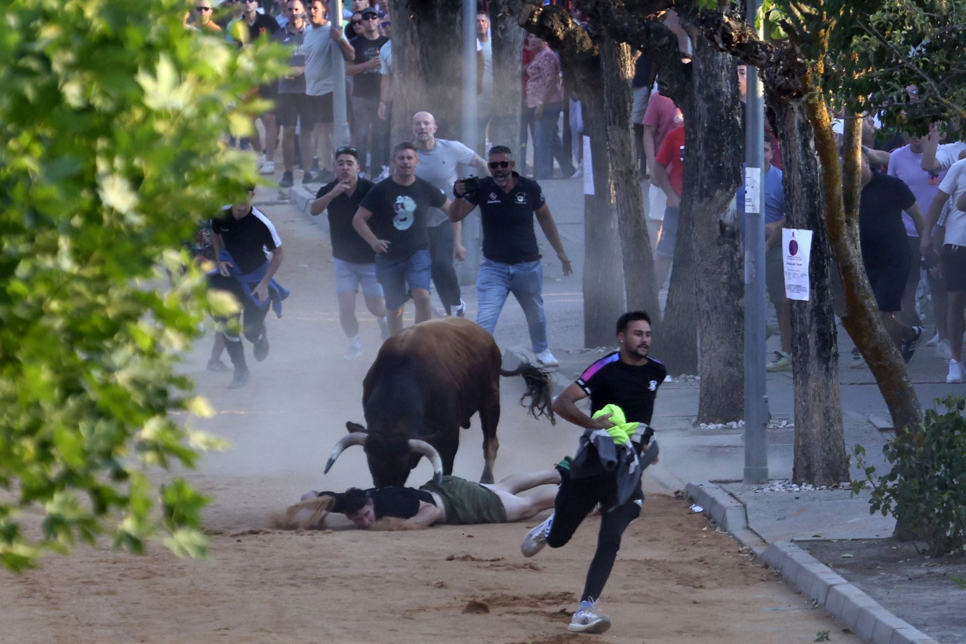 Herido en el encierro del toro de cajón en Serrada.