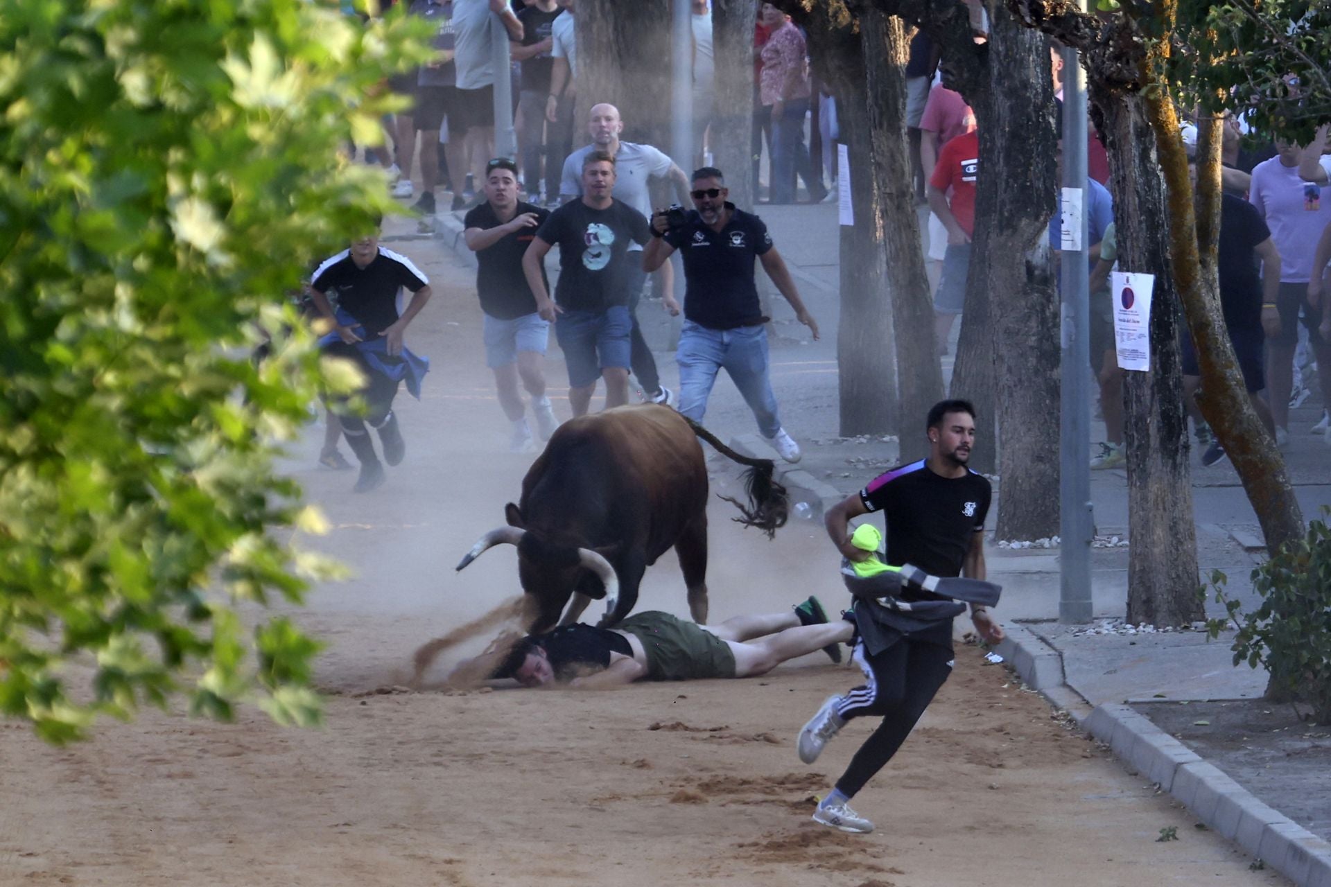 Herido en el encierro del toro de cajón en Serrada.