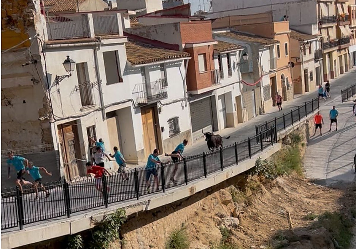 Demostración de la vaca enmaromada este domingo junto al barranco de Chiva