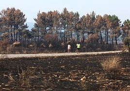 Efectos del incendio de Castropodame, en León, el domingo.