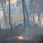 Incendio en un pinar de la provincia de Segovia en una fotografía de archivo.