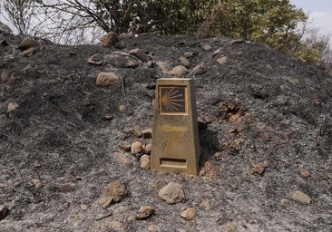 «Falta mucha conciencia ambiental en nuestra sociedad»