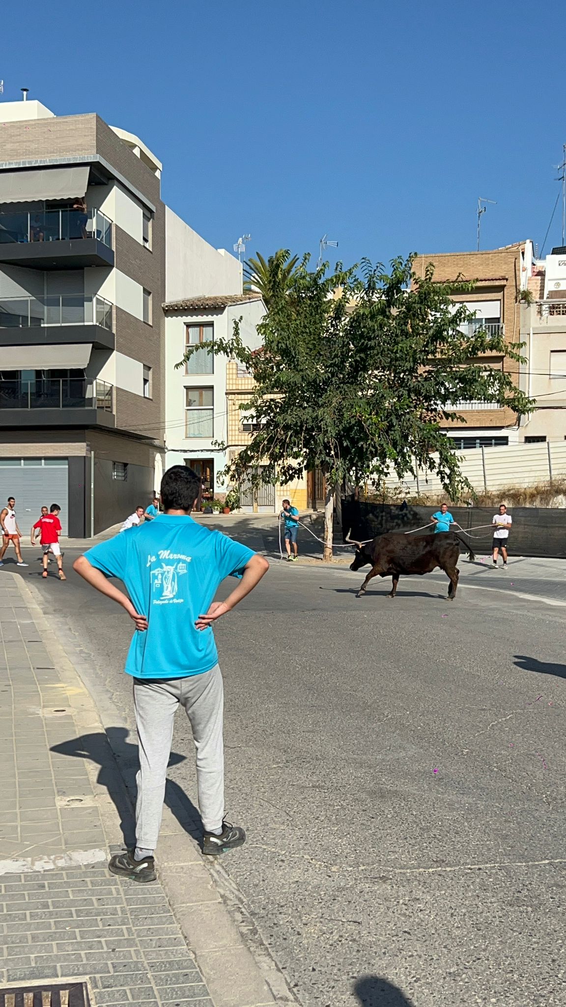 La vaca enmaromada y las jijas de Palazuelo de vedija triunfan en Chiva