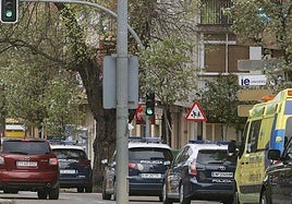 Coches de la Policía Nacional, en el paseo Ezequiel González.