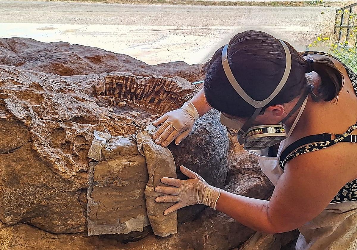 Caterine Arias, restauradora y conservadora del Museo de Dinosaurios de Salas, trabaja en los troncos fósiles.