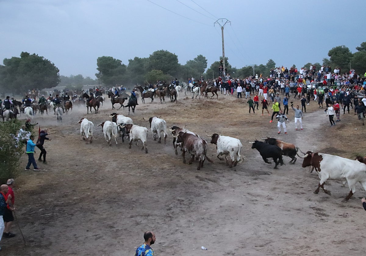 Salida de los astados de los corrales en un encierro el año pasado