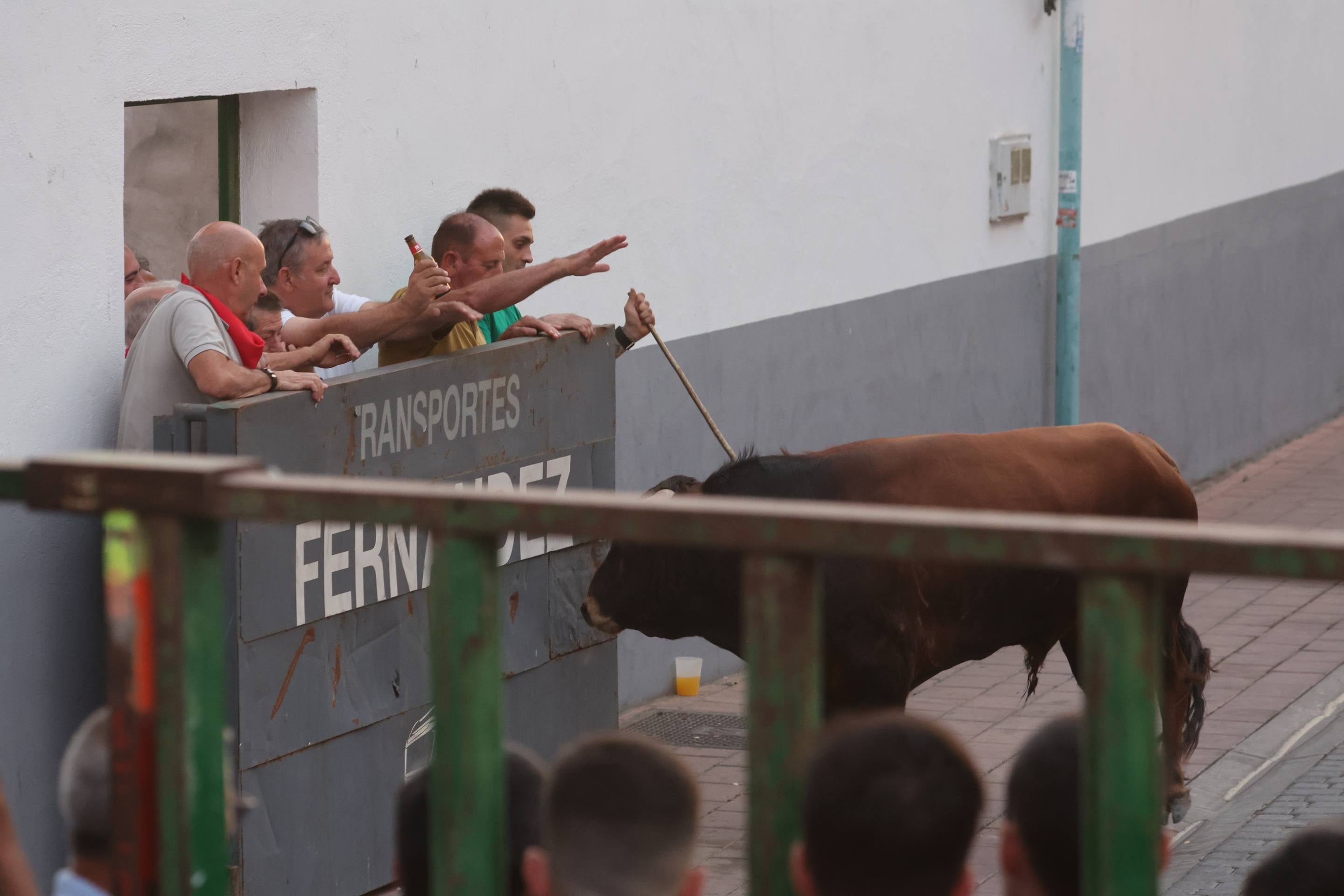Las imágenes del encierro en Pedrajas de San Esteban