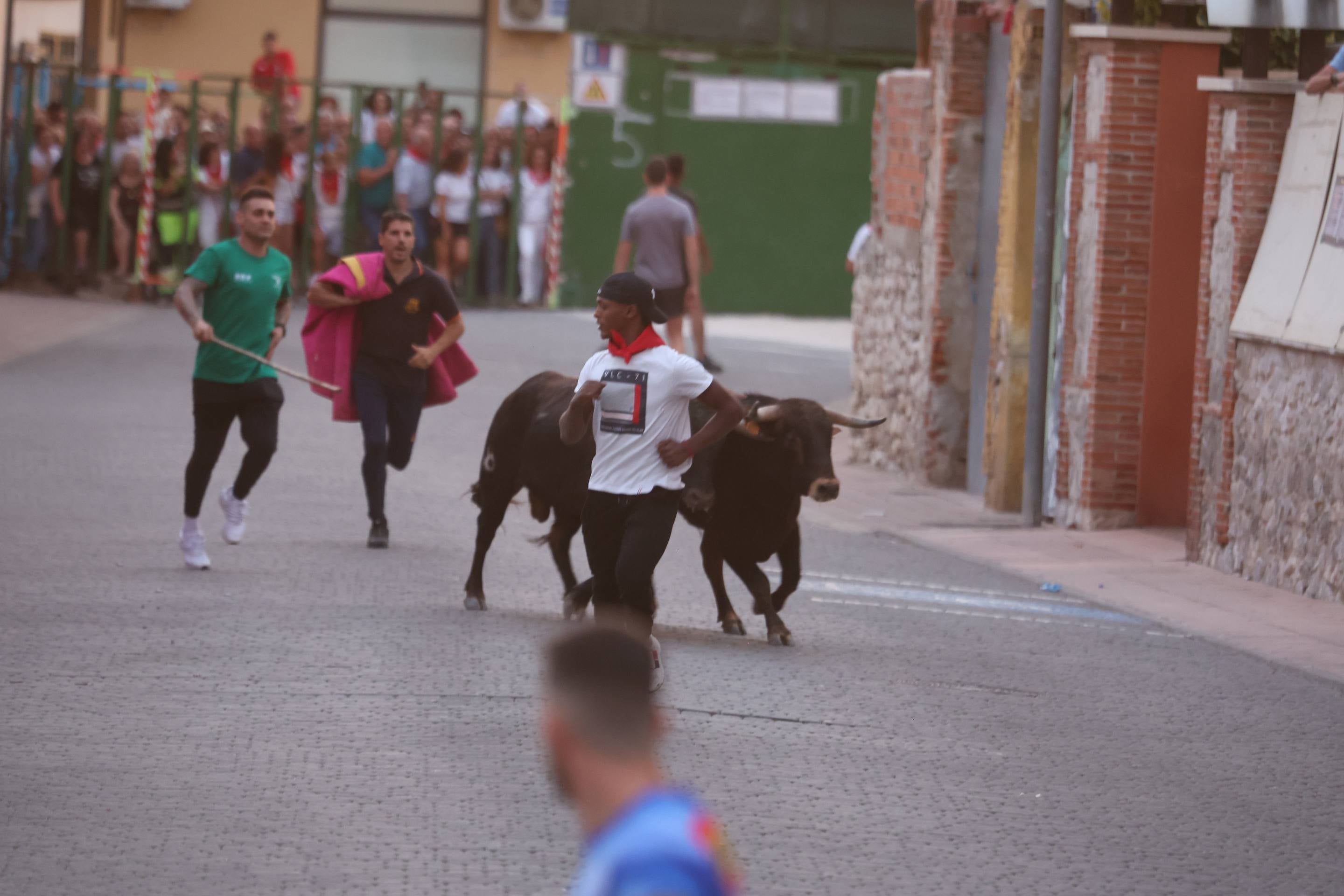 Las imágenes del encierro en Pedrajas de San Esteban
