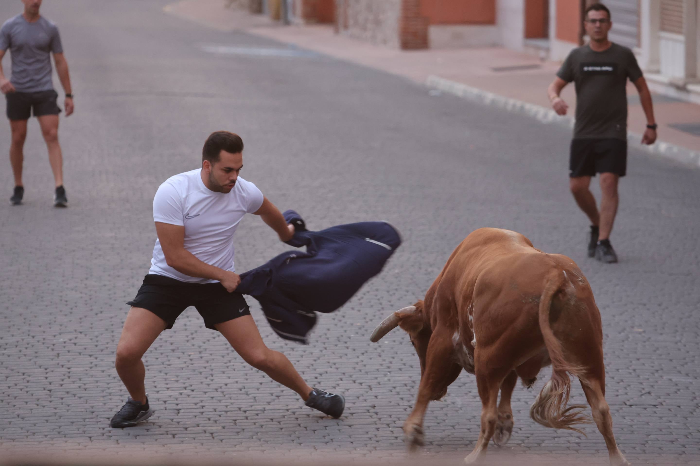 Las imágenes del encierro en Pedrajas de San Esteban