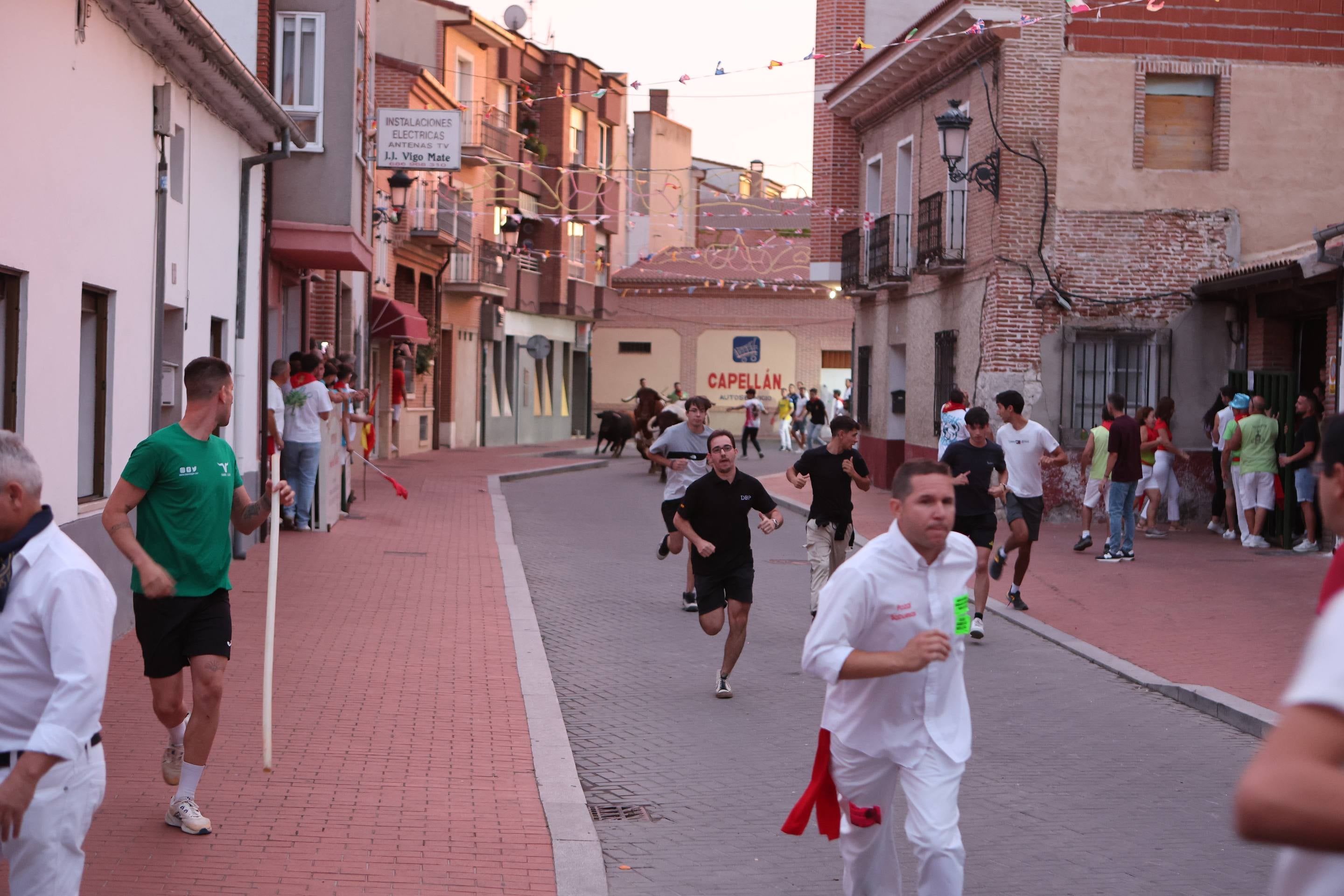 Las imágenes del encierro en Pedrajas de San Esteban