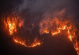 Uno de los incendios más virulentos declarados este verano en España